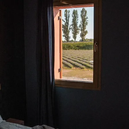 Gioia Di... فندق مبيت وإفطار سانتو ستينو دي ليفينزا